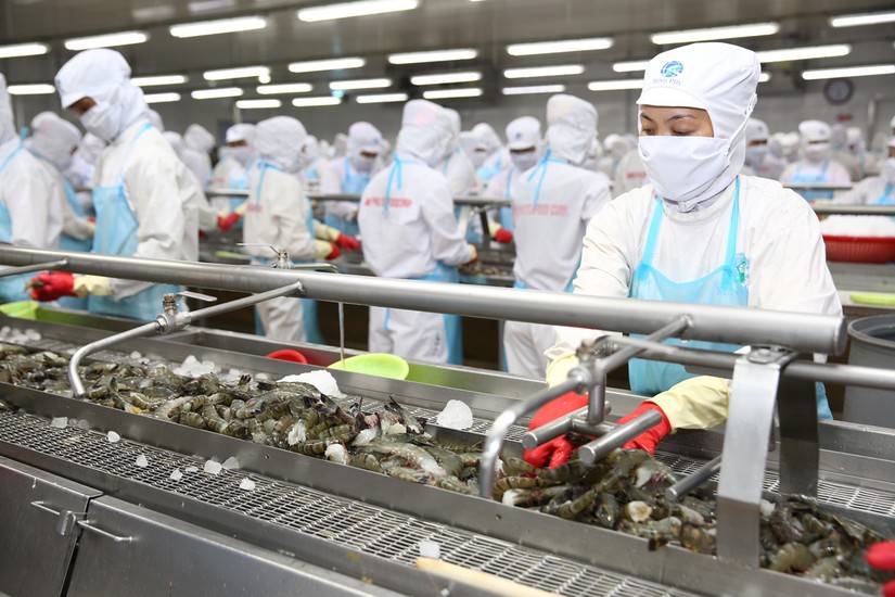 Dự án Bếp Công Nghiệp